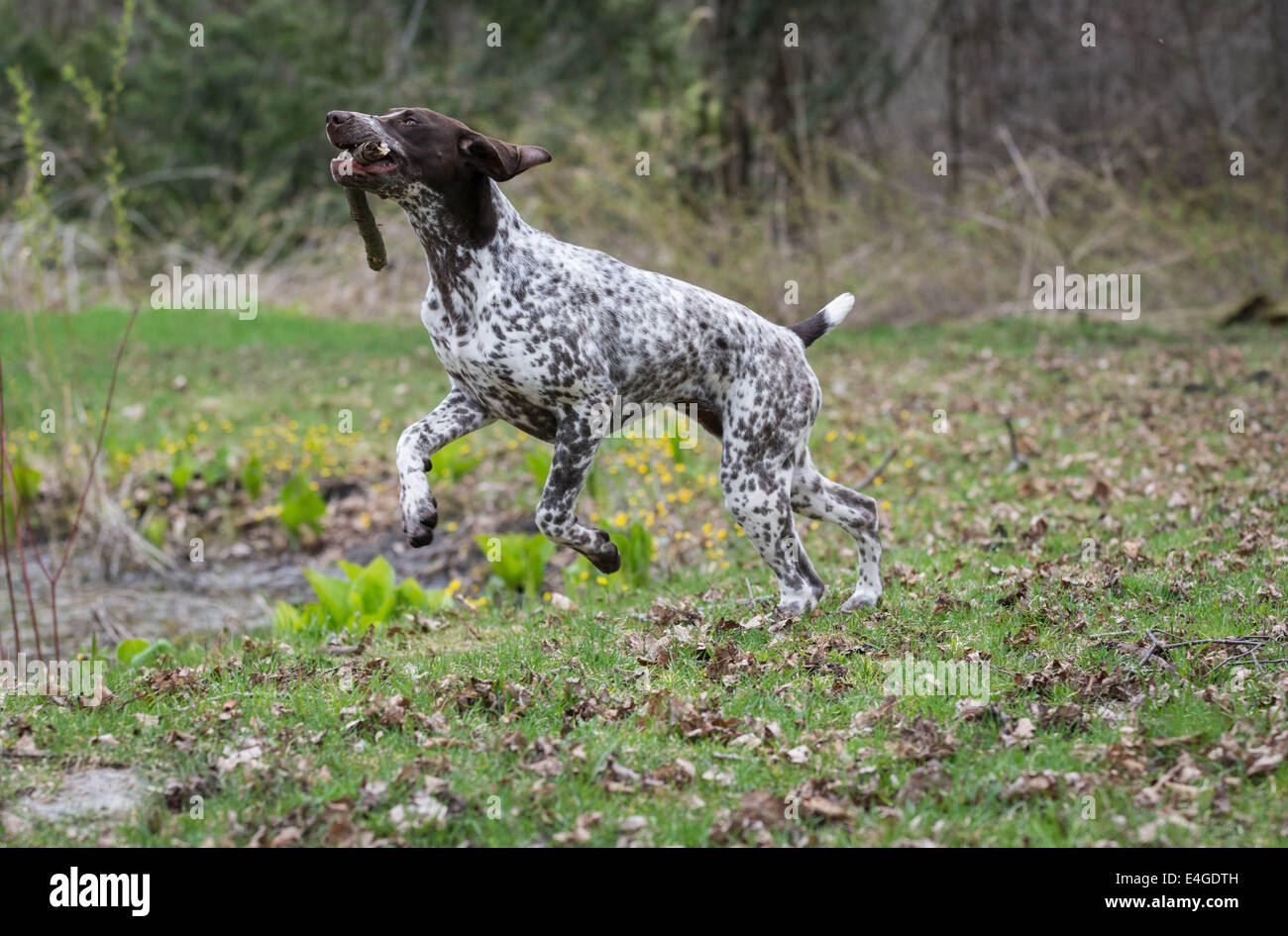 Holding pointer stick hi-res stock photography and images - Alamy