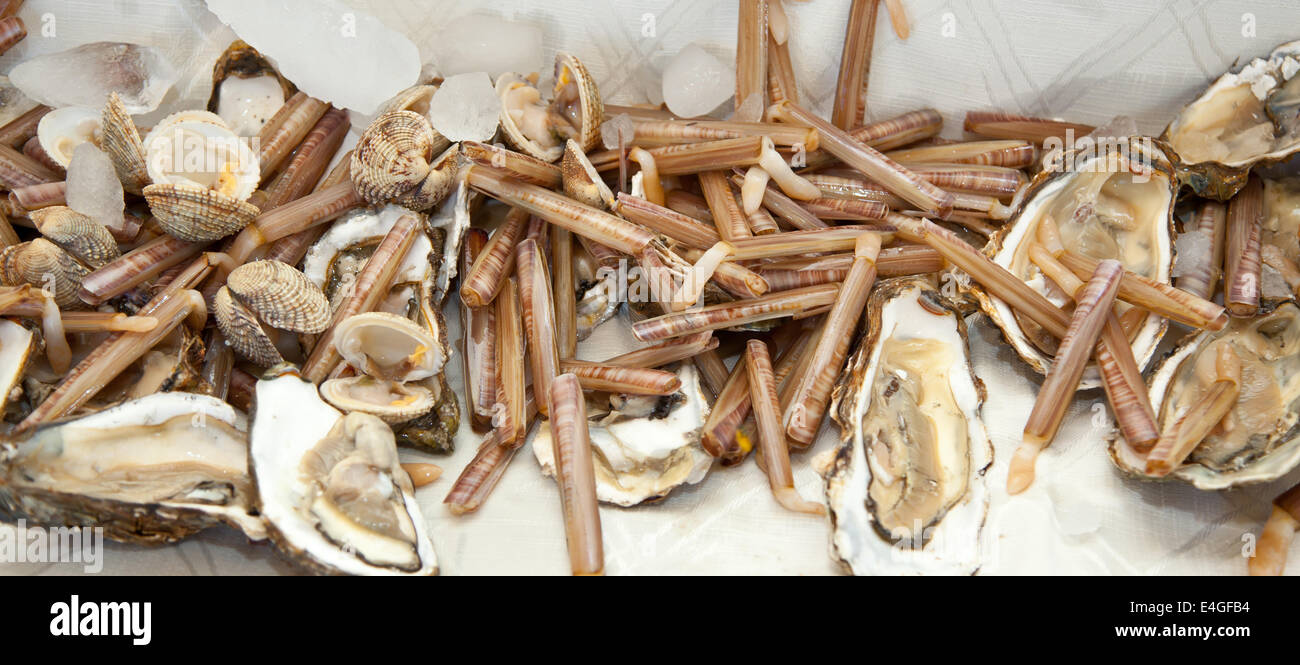 Razor clams hires stock photography and images Alamy