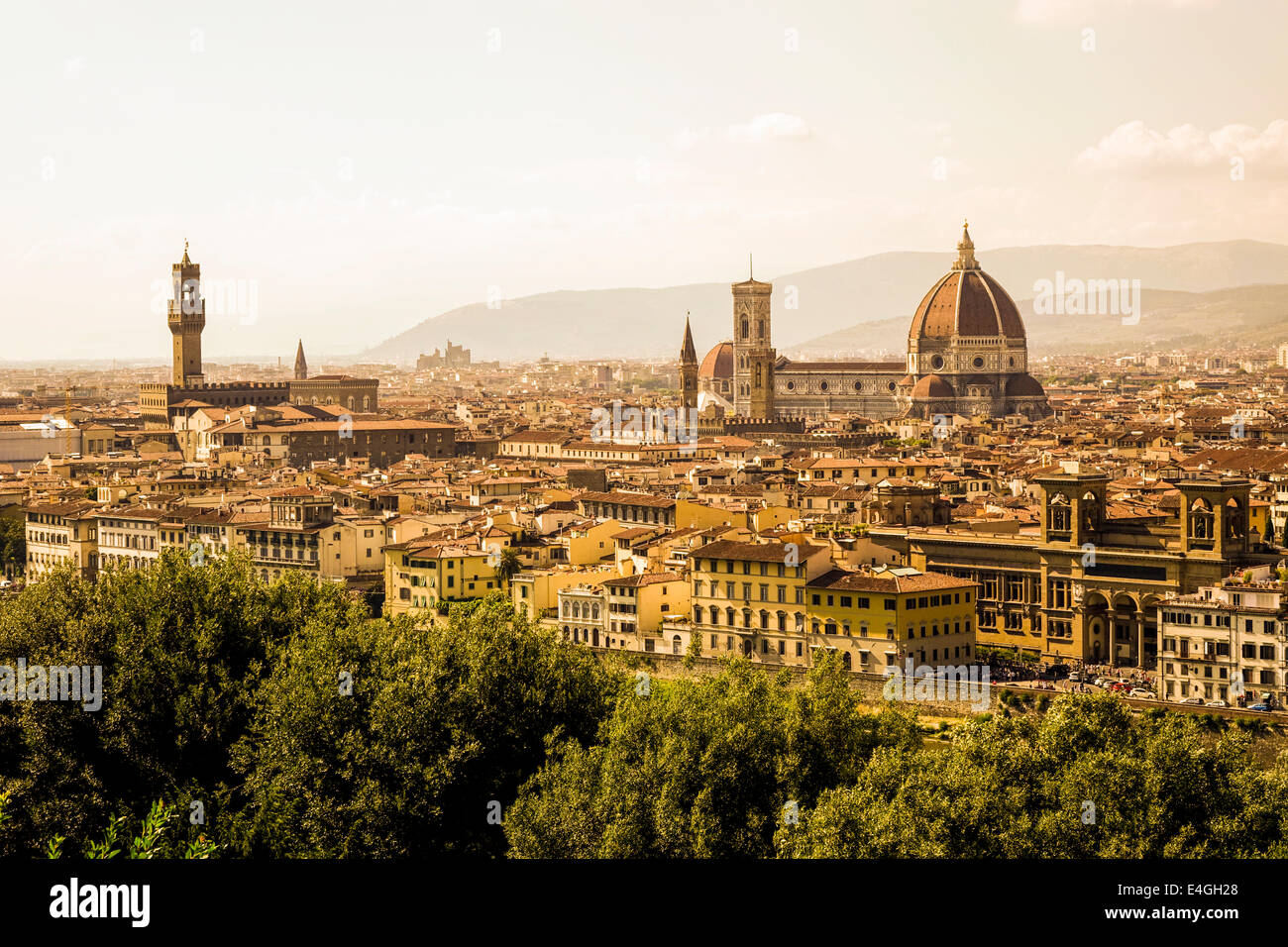 Cityscape with the Palazzo Vecchio and the Duomo, Florence, Tuscany, Italy, Europe Stock Photo