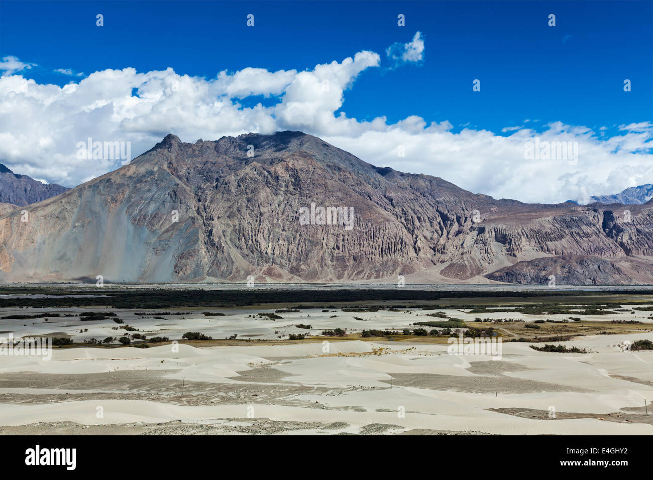 Nubra valley in Himalayas. Ladakh, India Stock Photo