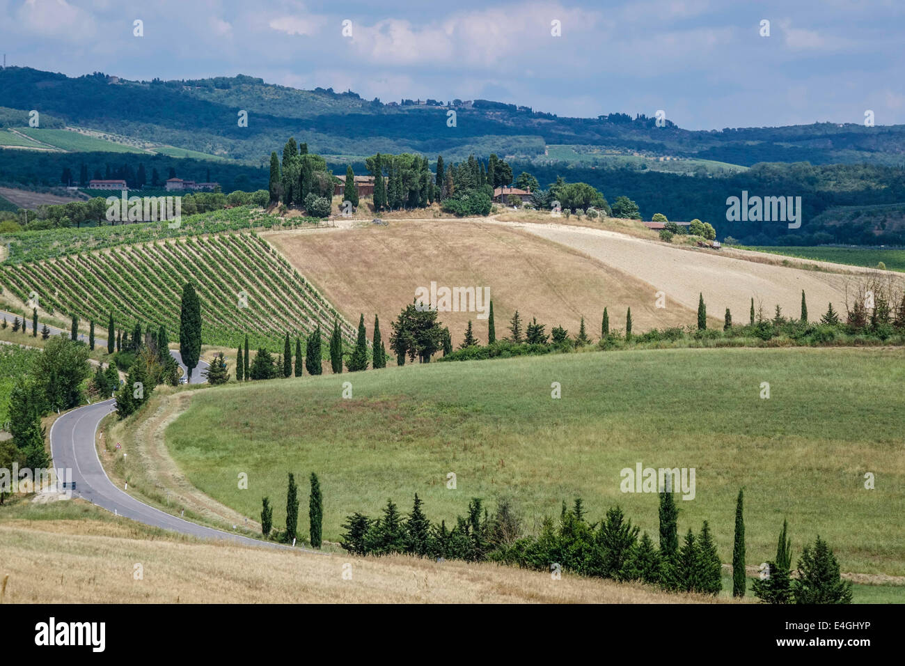 Typical landscape with vineyards in Tuscany, Italy, Europe Stock Photo