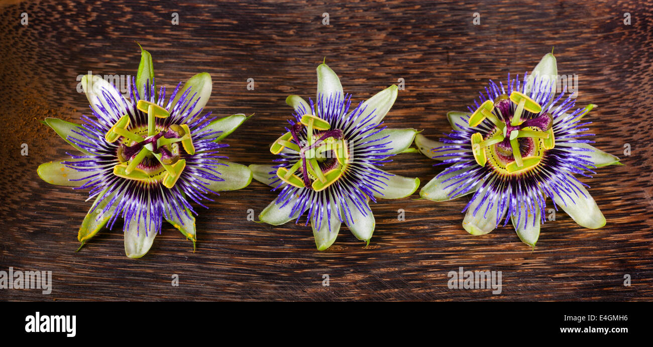 Passiflora caerulea, passionflower flower on wooden table. Stock Photo