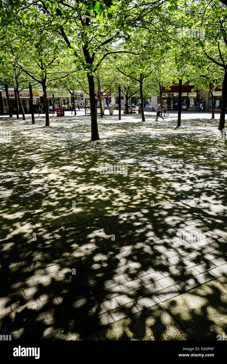 Shadows cast by the foliage of London Plane trees. Stock Photo