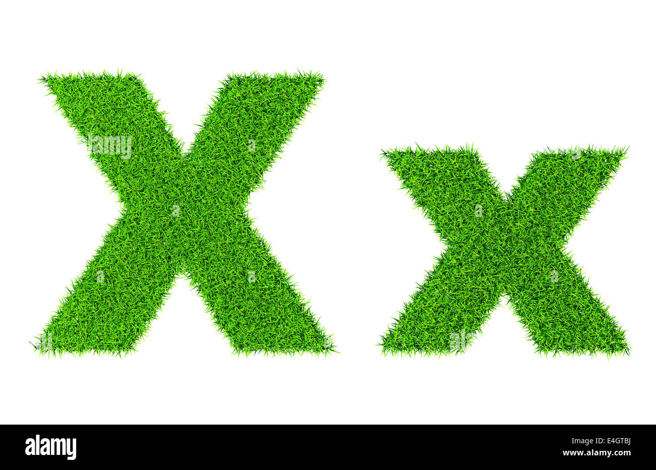 алфавит растений. травы на букву ж. загадки для 1 класса. травы на букву ж. травы на букву ж.