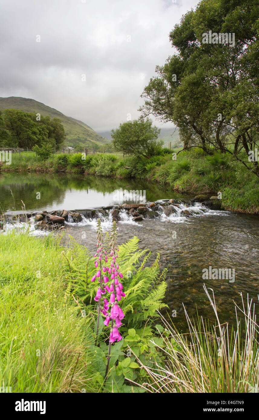 Cwm Pennant valley and the Afon Dwyfor river, Snowdonia National Park