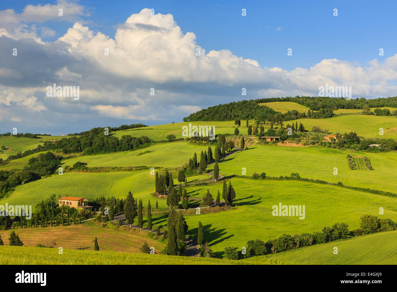 Winding road near Monticchiello with the famous Cypress trees in the heart of the Tuscany, Italy Stock Photo