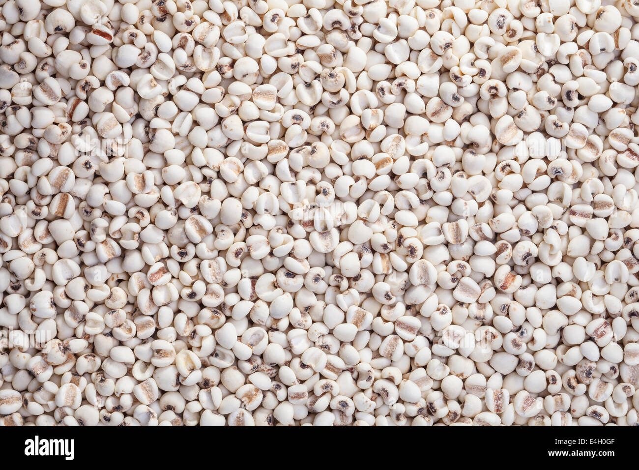 Millets the organic grain food arranges as background Stock Photo