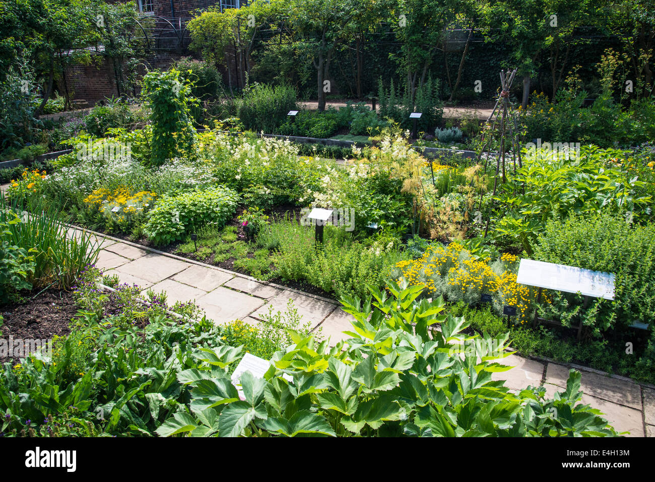 Medicinal plants in Queen's Garden, Kew Palace, Kew Royal Botanic