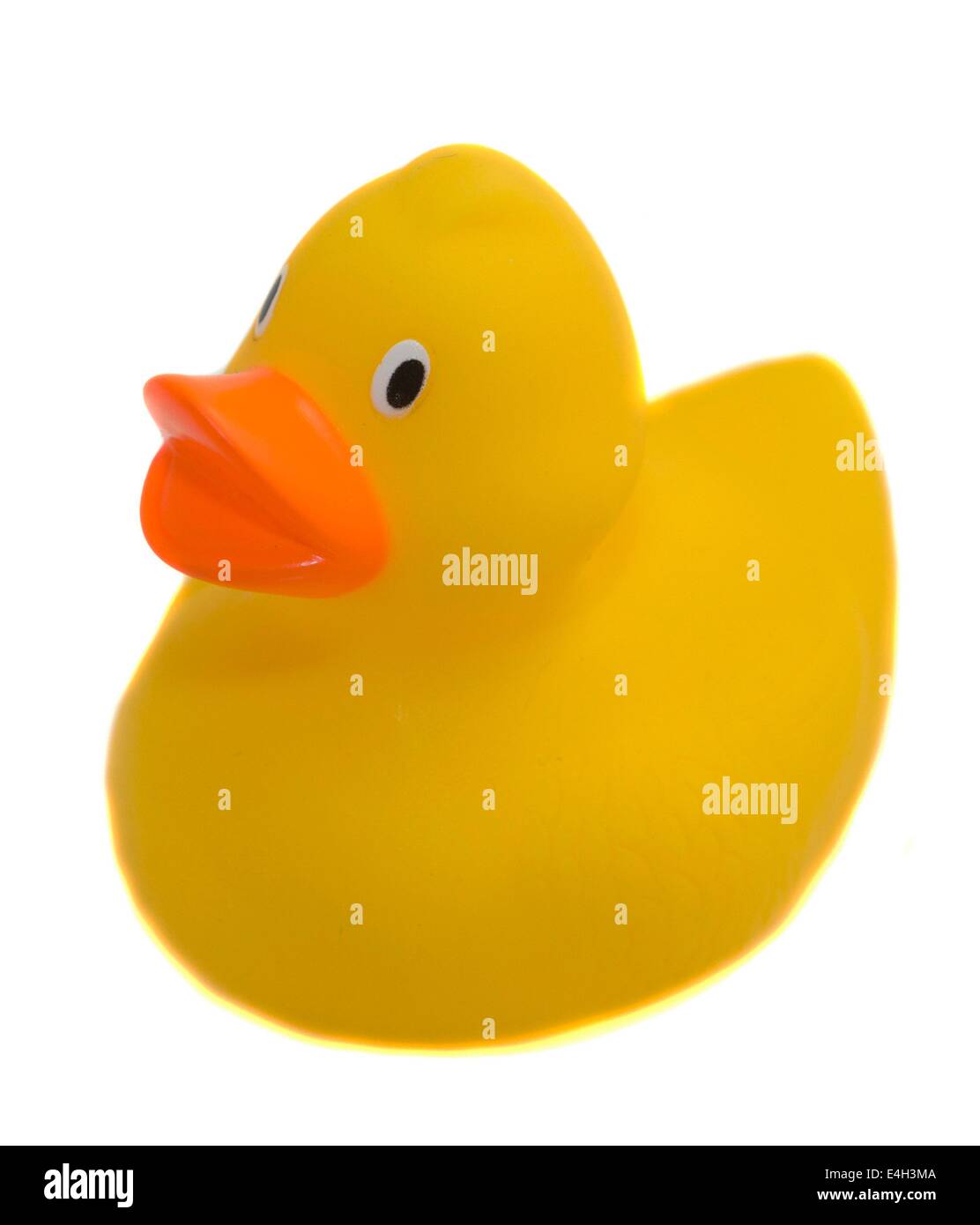 bathing duck Stock Photo