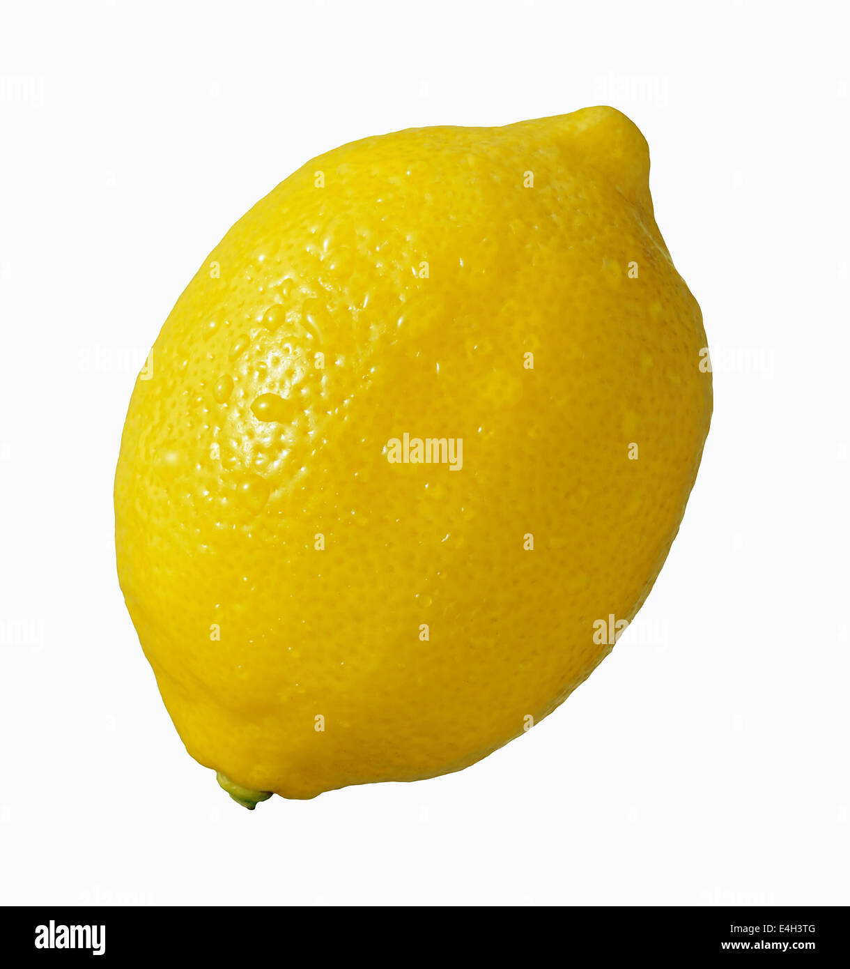 Lemon, Citrus limon. Stock Photo