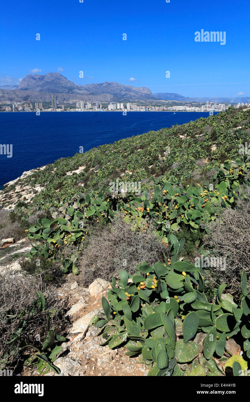 View of Benidorm Island, Benidorm resort, Costa Blanca, Valencia Province, Spain, Europe. Stock Photo