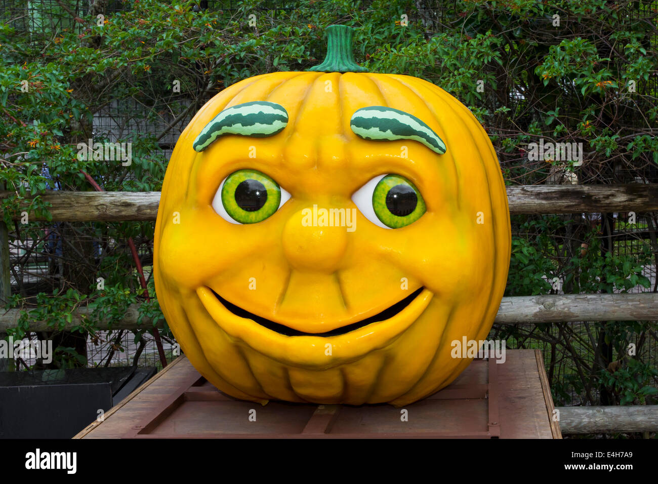 Animated Pumpkin Head at Lowry Park Zoo in Tampa Florida. Stock Photo