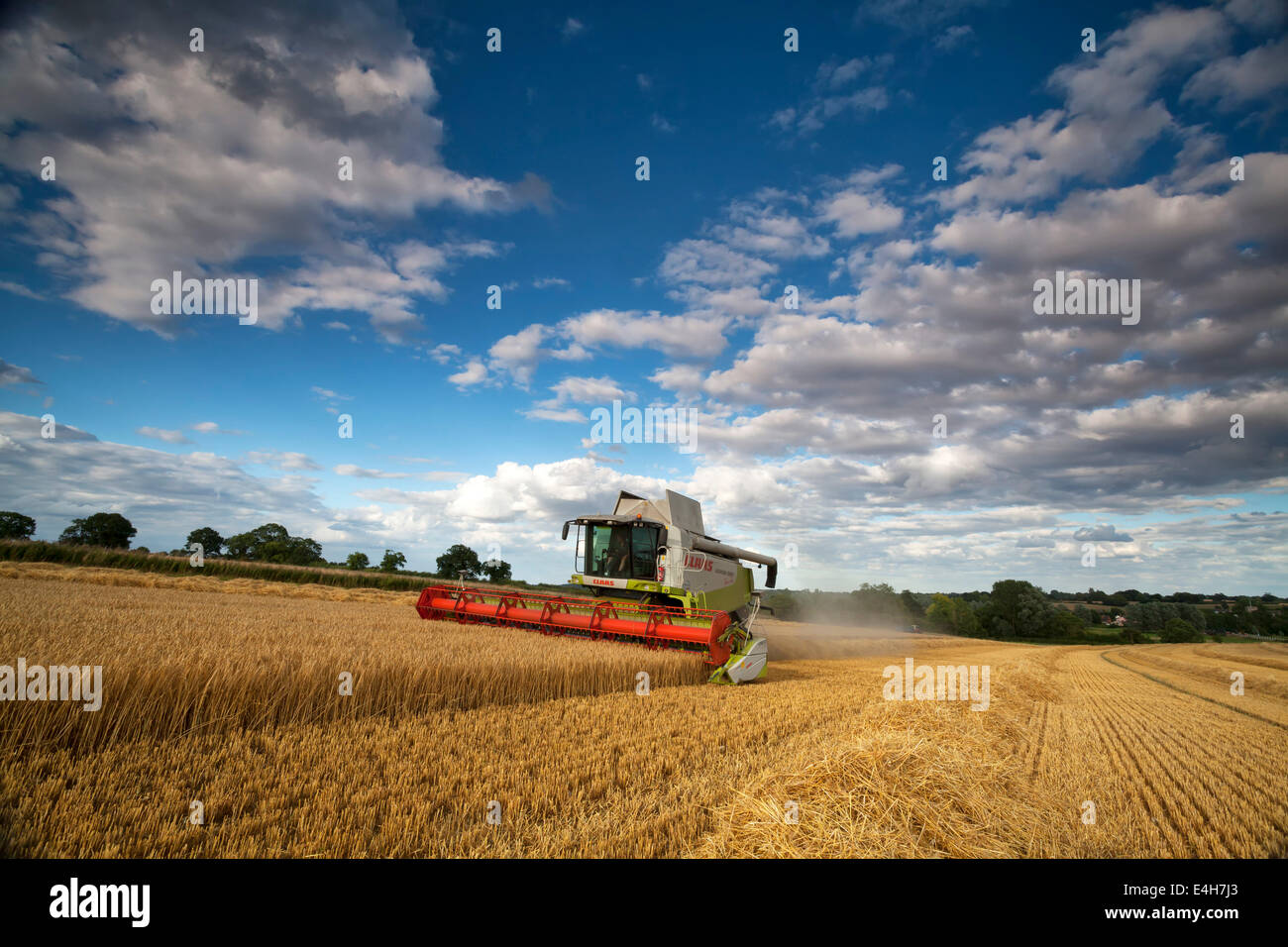 Combine harvester at work in a Norfolk barley field, UK Stock Photo Alamy