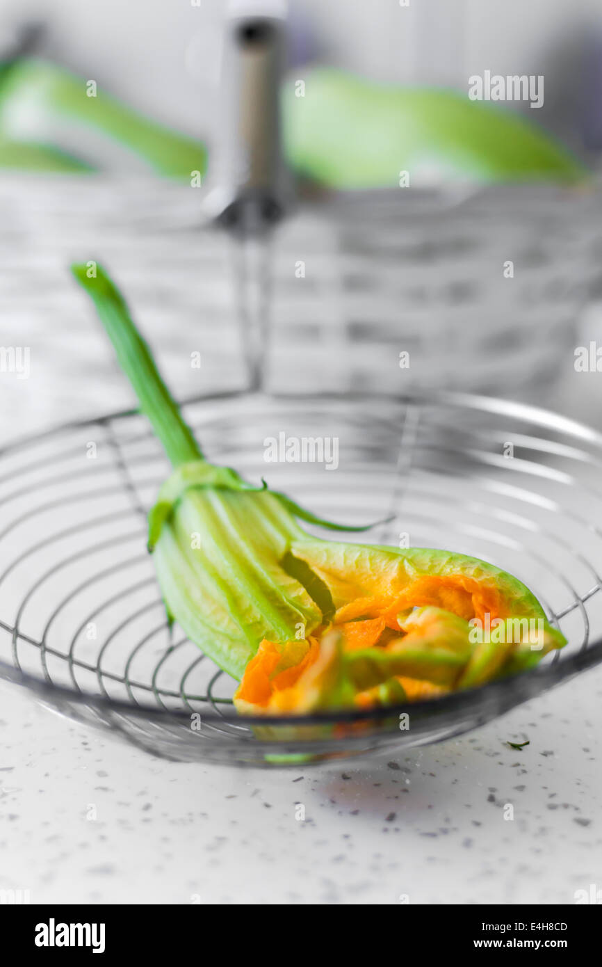 Zucchini blossom close up background Stock Photo Alamy