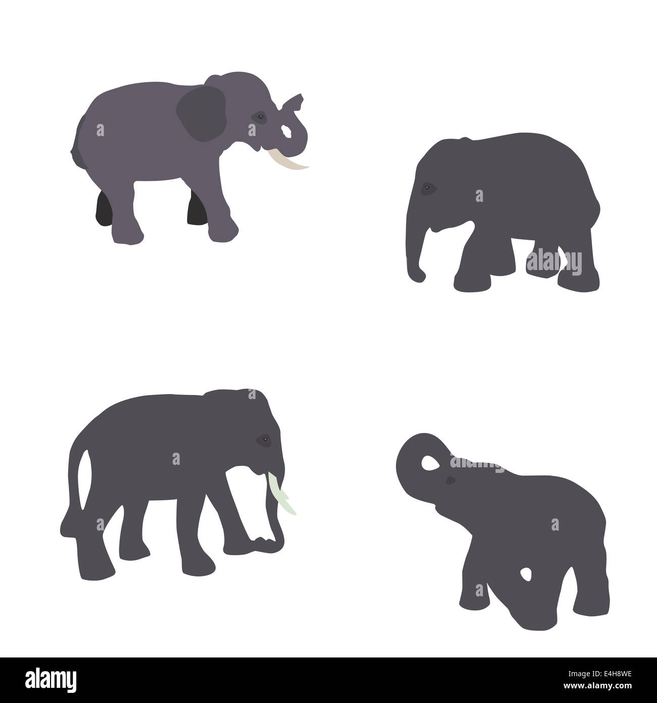 Set of Elephant Isolated on White Background Stock Photo - Alamy