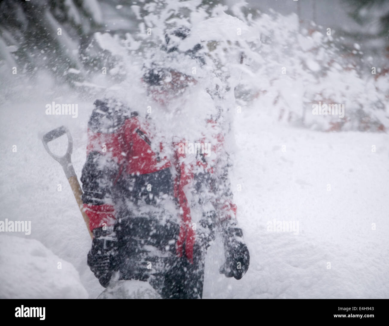 Man With Shovel Being Hit By Snow From Snow Blower After A Several Stock Photo Alamy Man With Shovel Being Hit By Snow From Snow Blower After A Several Stock Photo Alamy