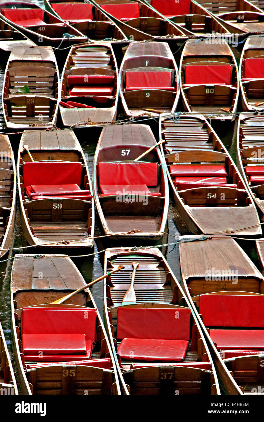 Unused punts on the River Cherwell in the heart of Oxford. Stock Photo