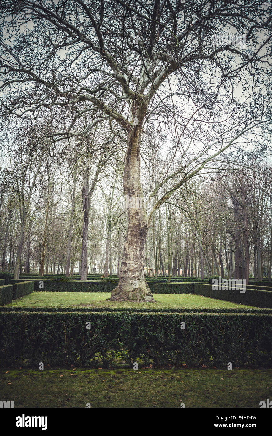 Gardens. Palace of Aranjuez, Madrid, Spain Stock Photo - Alamy