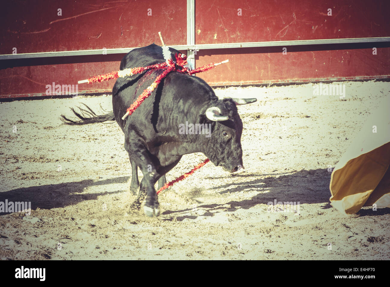power bullfight, traditional Spanish party where a matador 