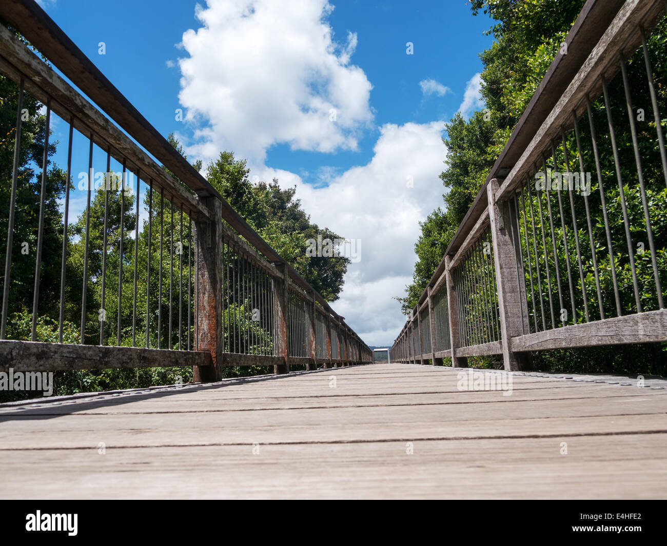 Wood bridge in Dorrigo National Park, Australia Stock Photo