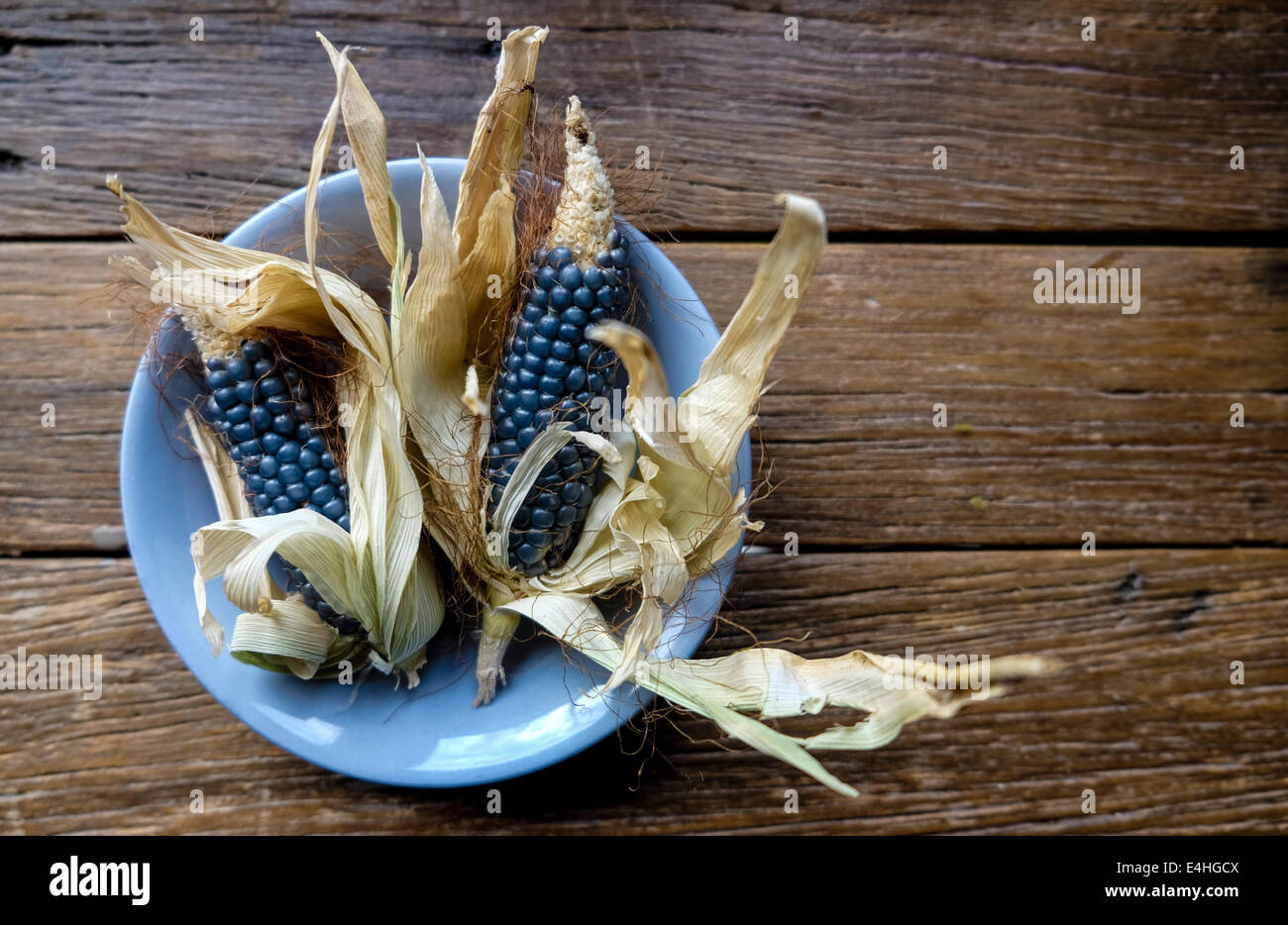 Hopi maize also called blue corn Stock Photo