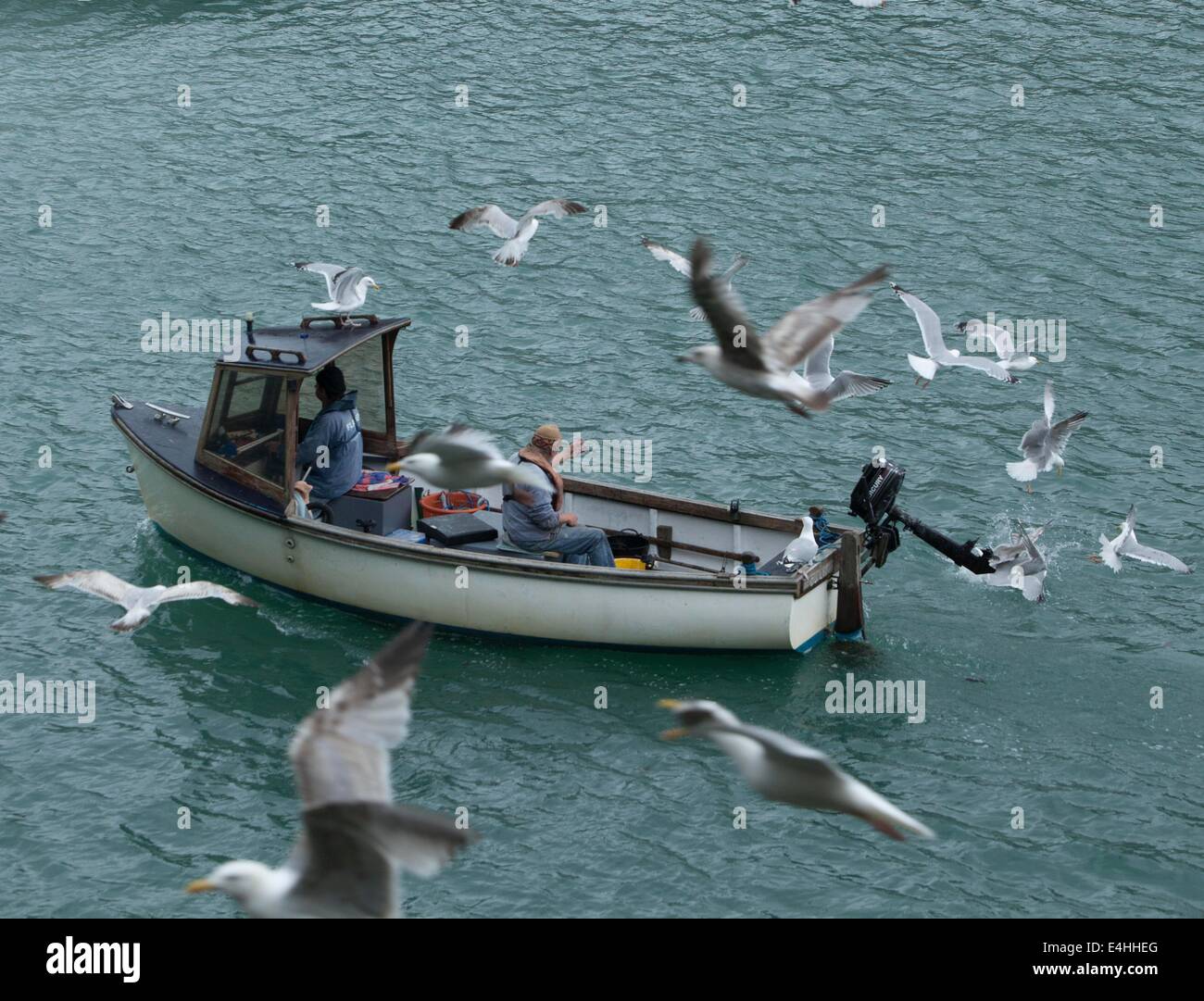 A fishing boat coming into the harbour at Looe Cornwall with a mob of seagulls Stock Photo