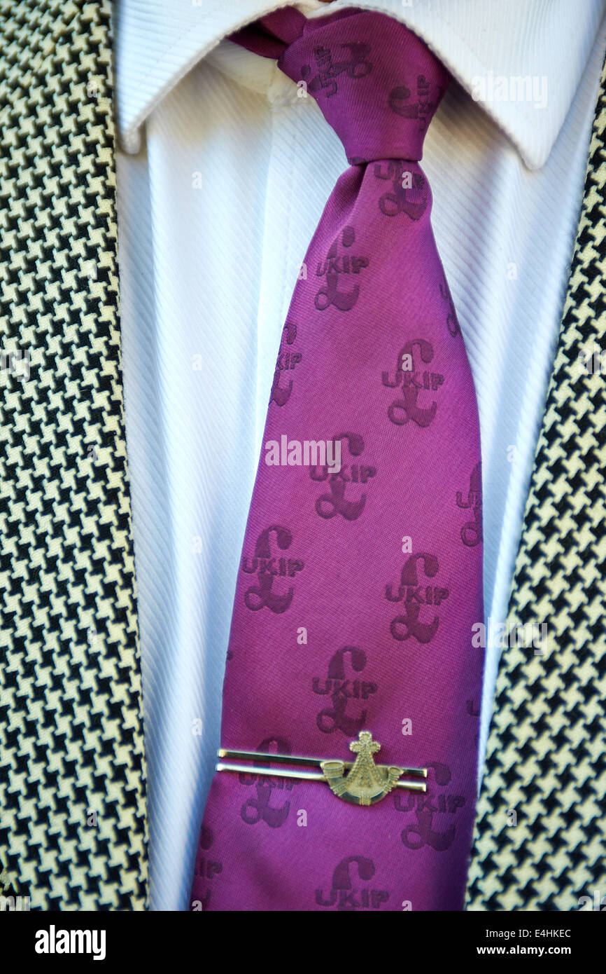 Detail view of a purple Ukip tie and pin Stock Photo