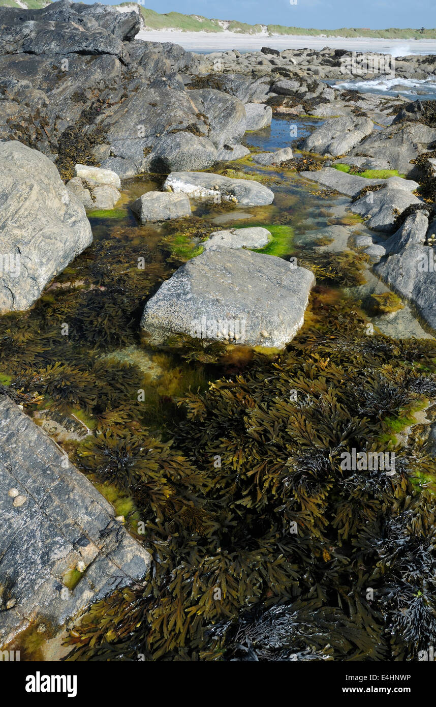 Rock Pool at Culla Bay, Benbecula, Outer Hebrides Stock Photo