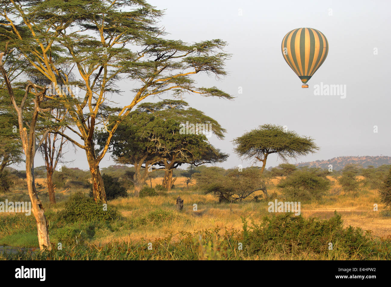 Green and yellow balloon flying over the savannah of Serengeti National Park, Tanzania Stock Photo