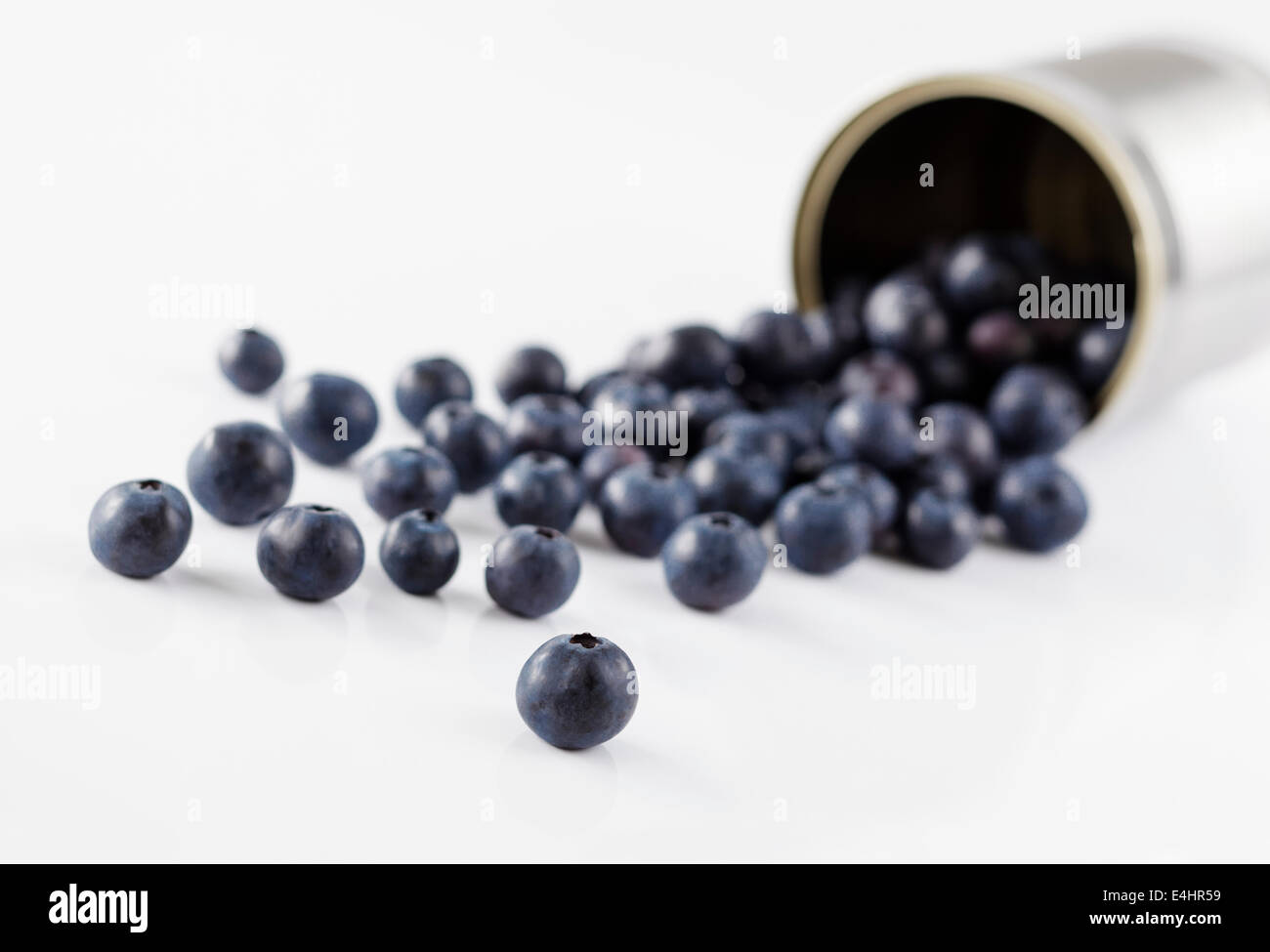 Fresh Blueberries tumbling out of a tin can Stock Photo