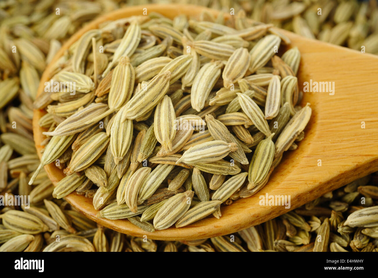 Fennel seeds in wooden spoon Stock Photo