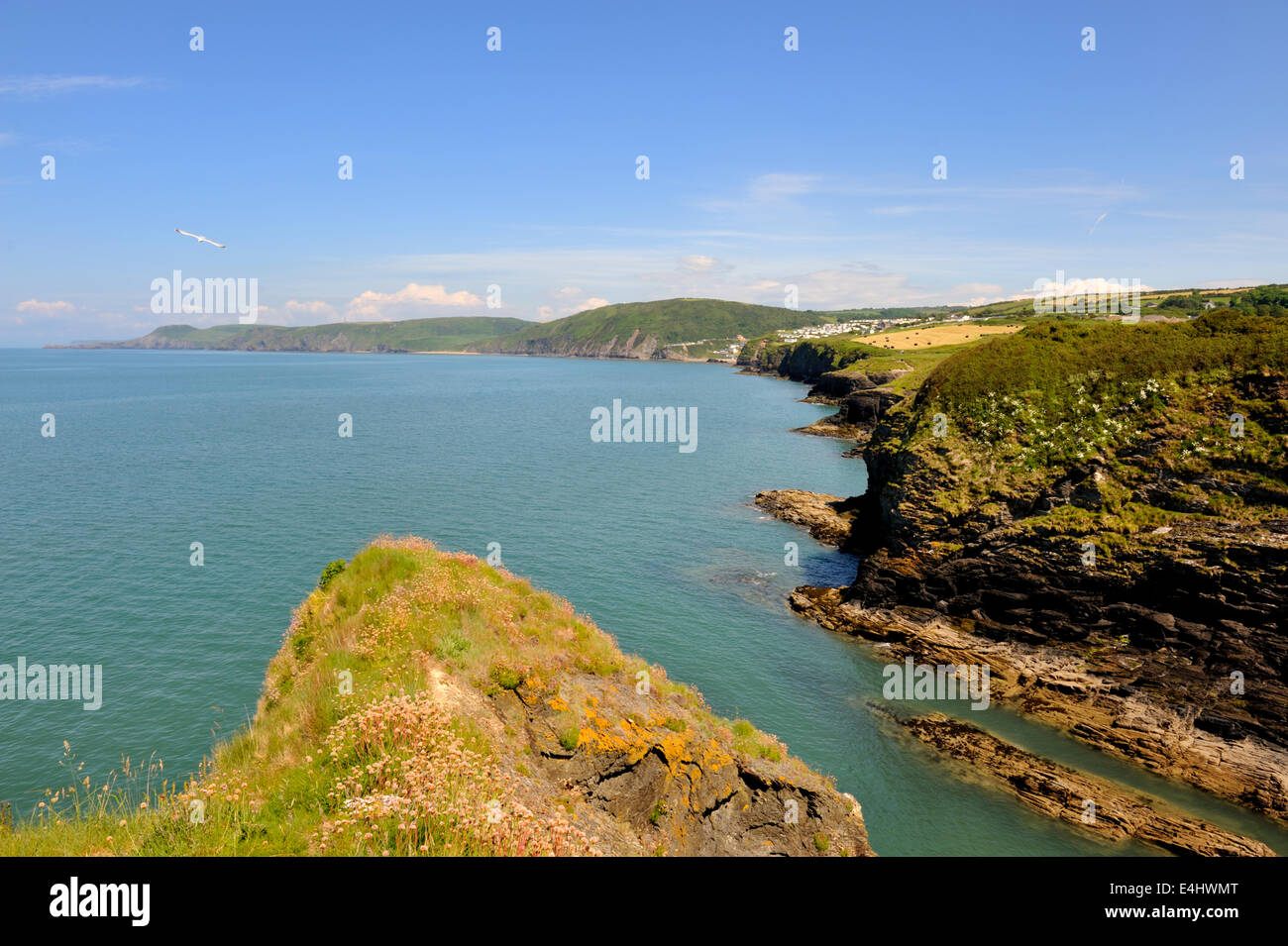 West Wales cost north of Aberporth Pembrokeshire Stock Photo