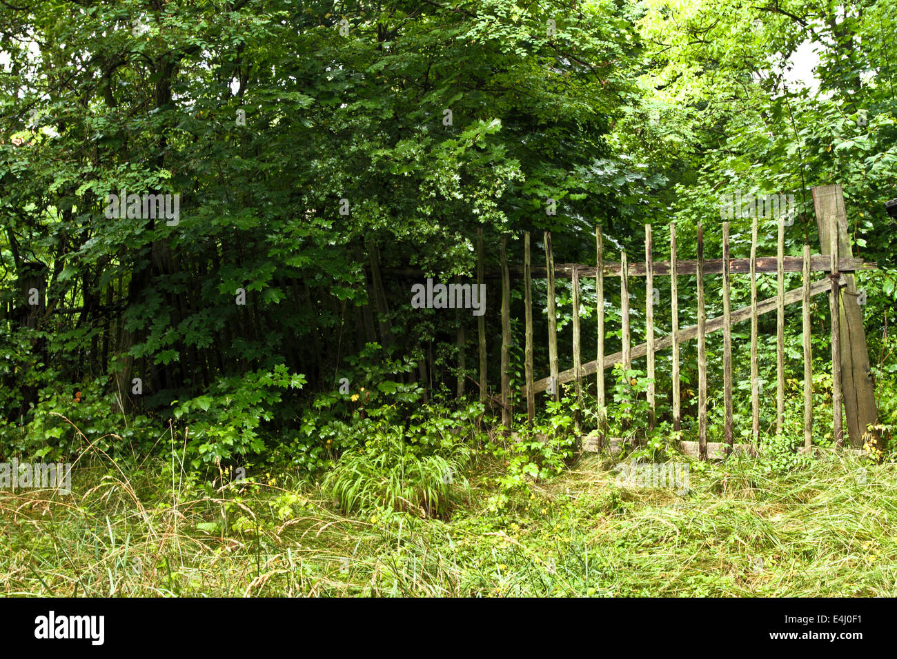 Wooden gate and fence hi-res stock photography and images - Alamy