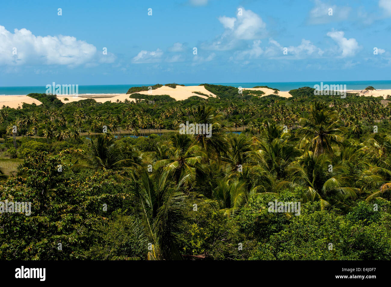 Pirambu Sergipe fonte: c8.alamy.com Fonte: c8.alamy.com