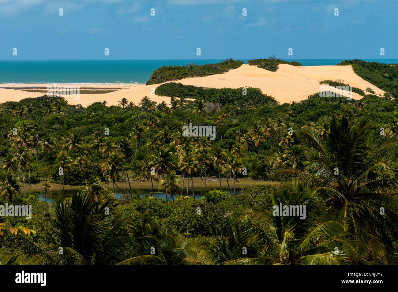 Pirambu Sergipe fonte: c8.alamy.com Fonte: c8.alamy.com