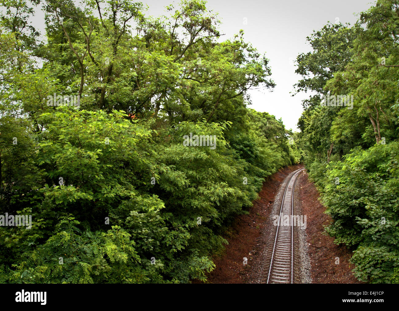 Railway track in forest on the outskirts of Prague/Czech Republic Stock Photo