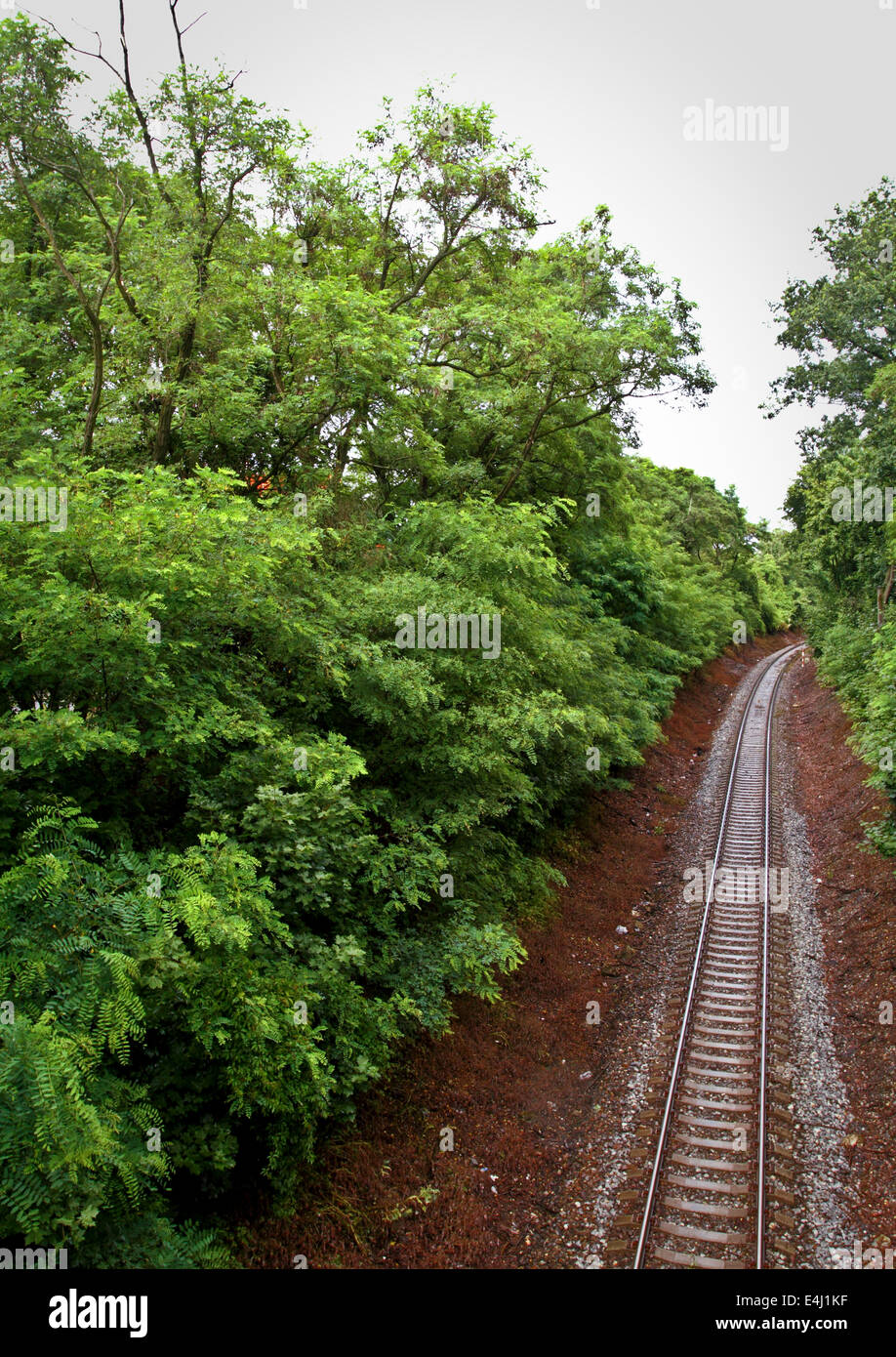 Railway track in forest on the outskirts of Prague/Czech Republic Stock Photo