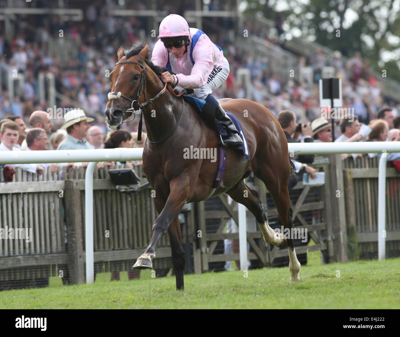 Newmarket, UK. 12th July, 2014. Moet and Chandon July Festival, Darley