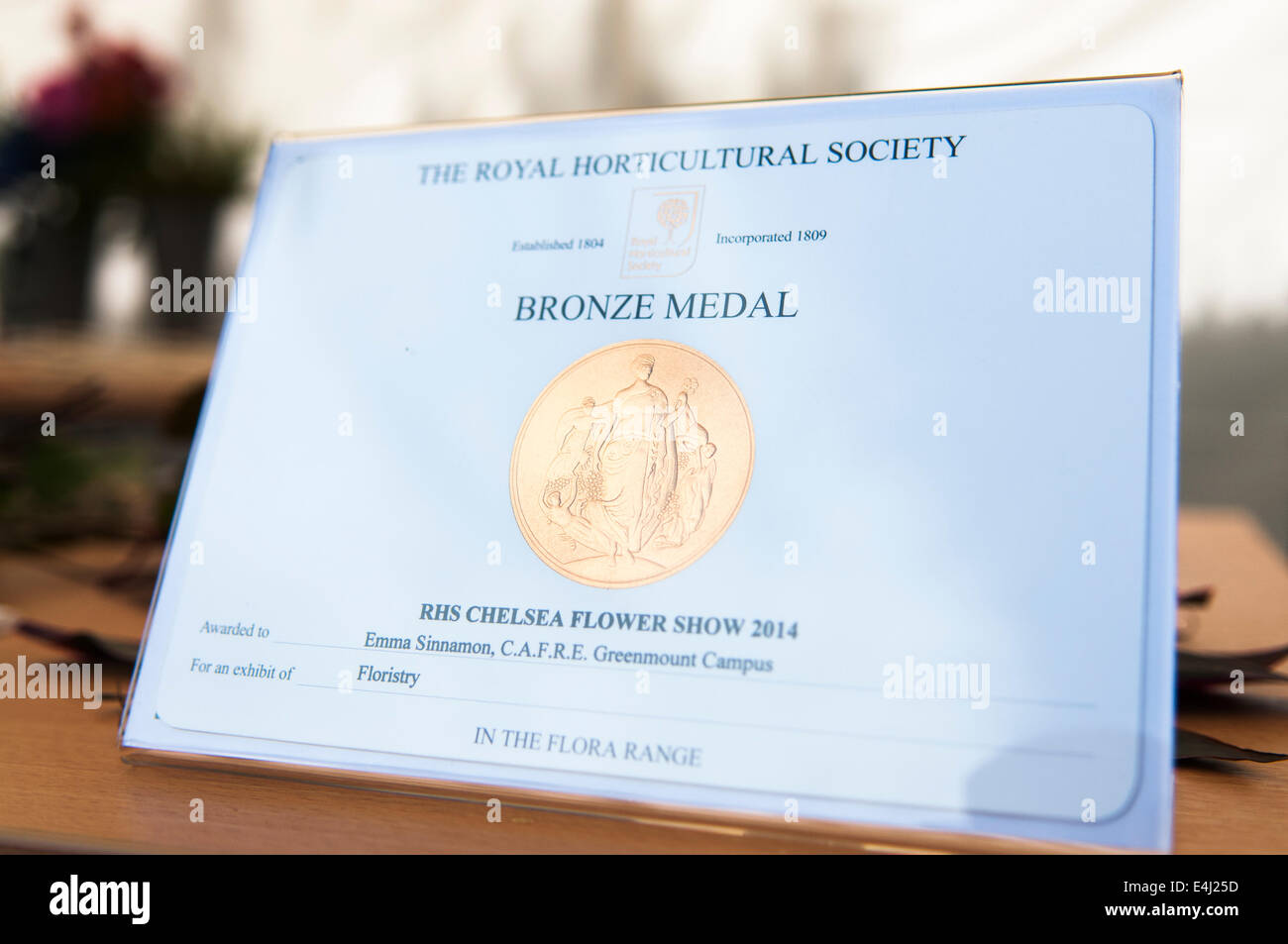 A Royal Horticultural Society bronze medal, awarded at the Chelsea Flower Show 2014 Stock Photo