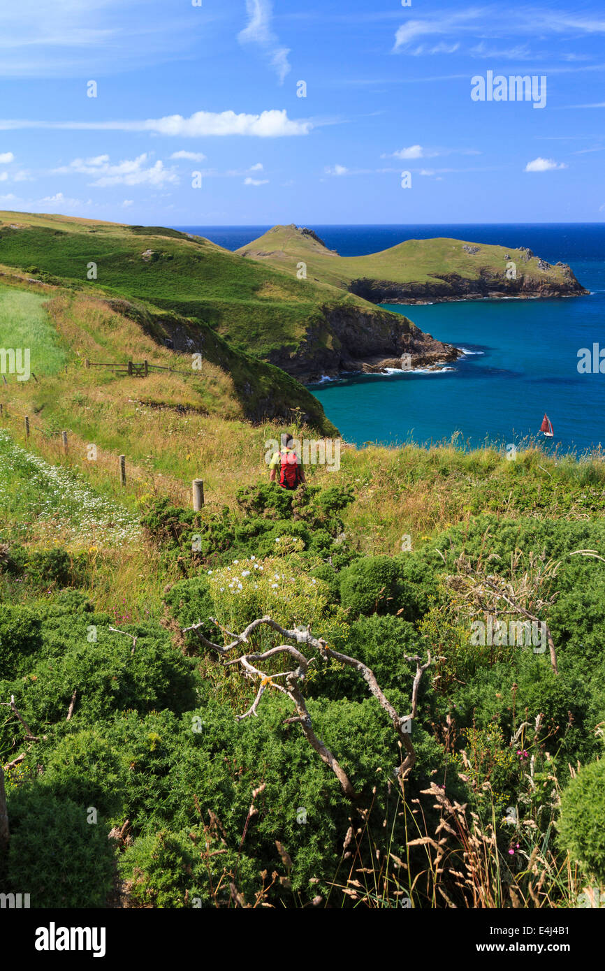 A walker on the South West Coast Path, North Cornwall at Pentire Point, looking towards The Rumps hill fort Stock Photo