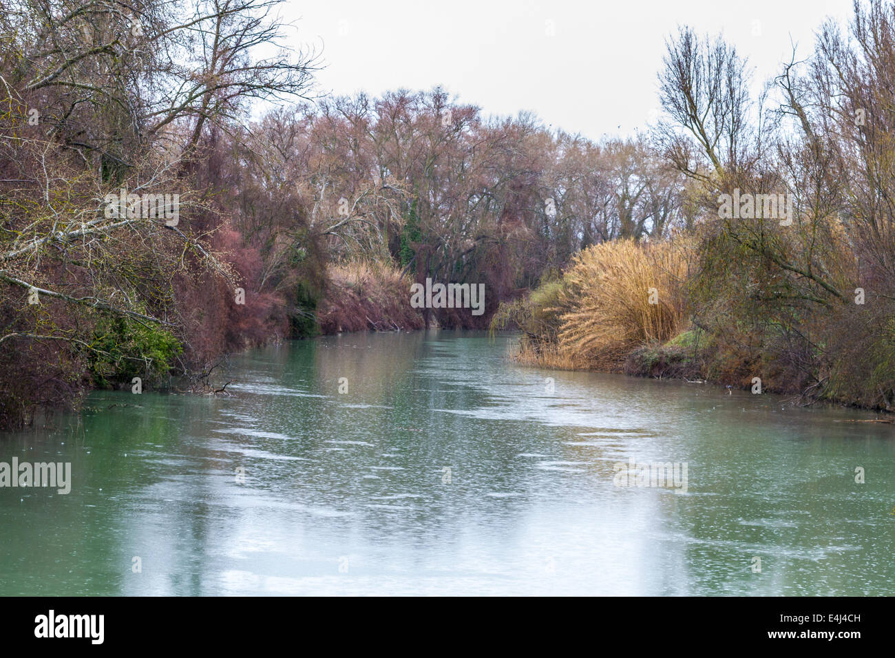 Tajo river, Palace of Aranjuez, Madrid, Spain.World Heritage Site by ...