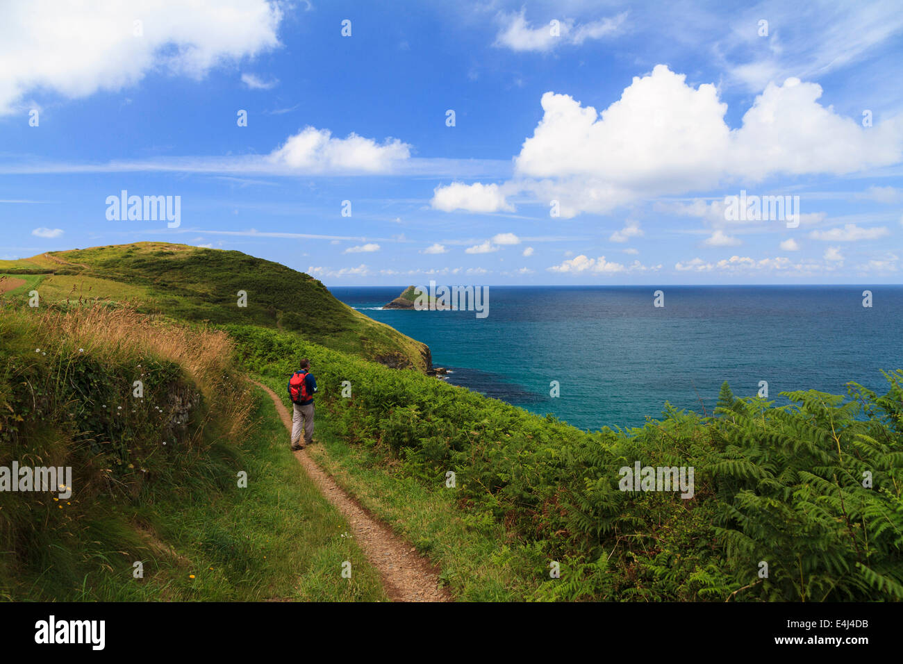 A walker on the South West Coast Path, North Cornwall at Pentire Point ...