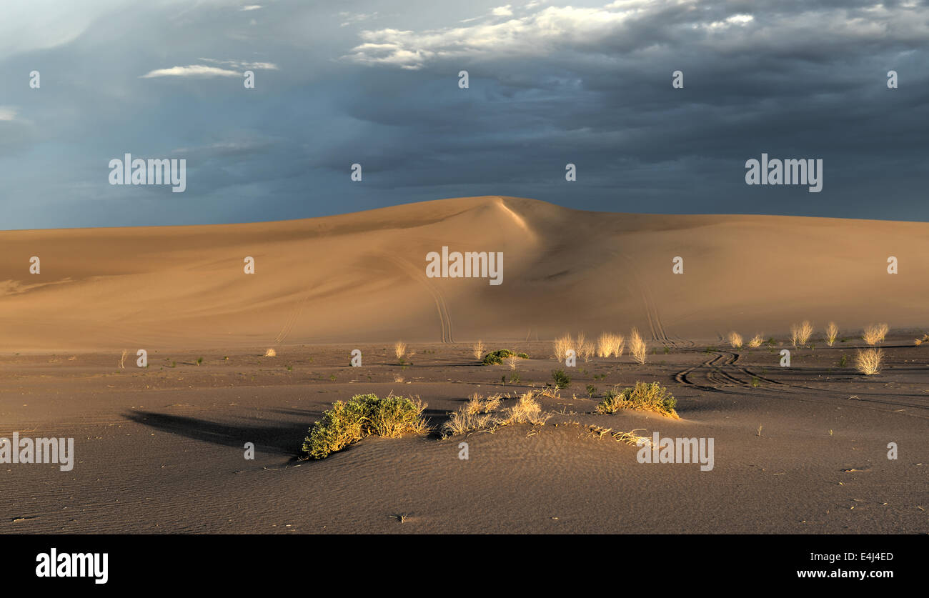 Sand Dunes along the Amargosa Desert at sunset. Located in Nye County ...