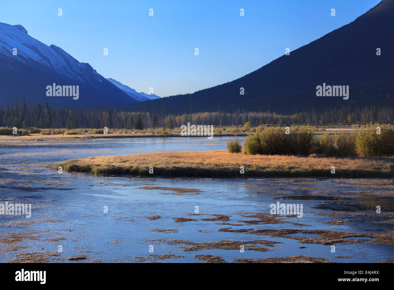 Wetlands in the Canadian Rocky Mountains Stock Photo
