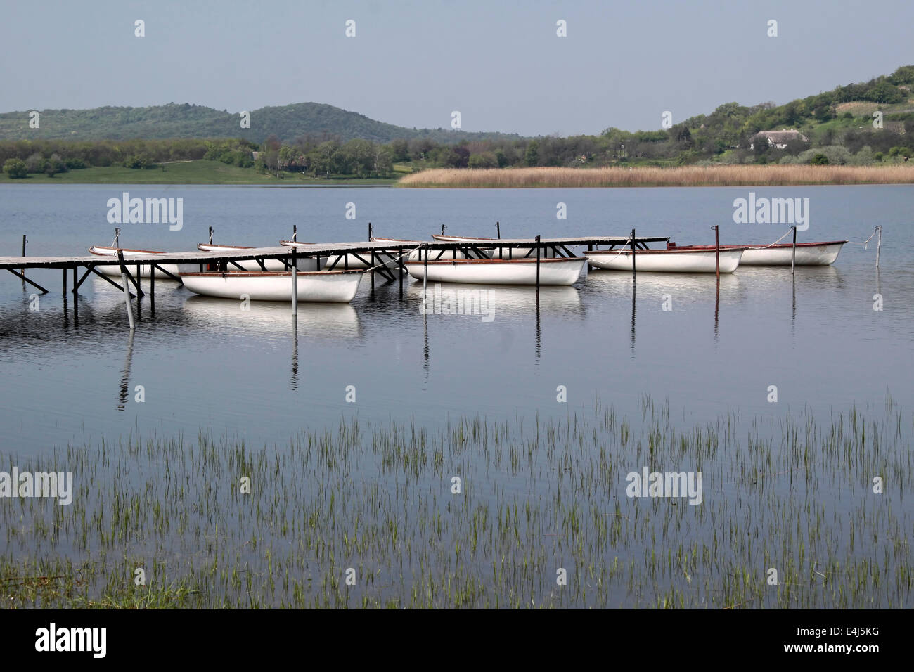 Landscape near Lake Balaton in Tihany, Hungary Stock Photo