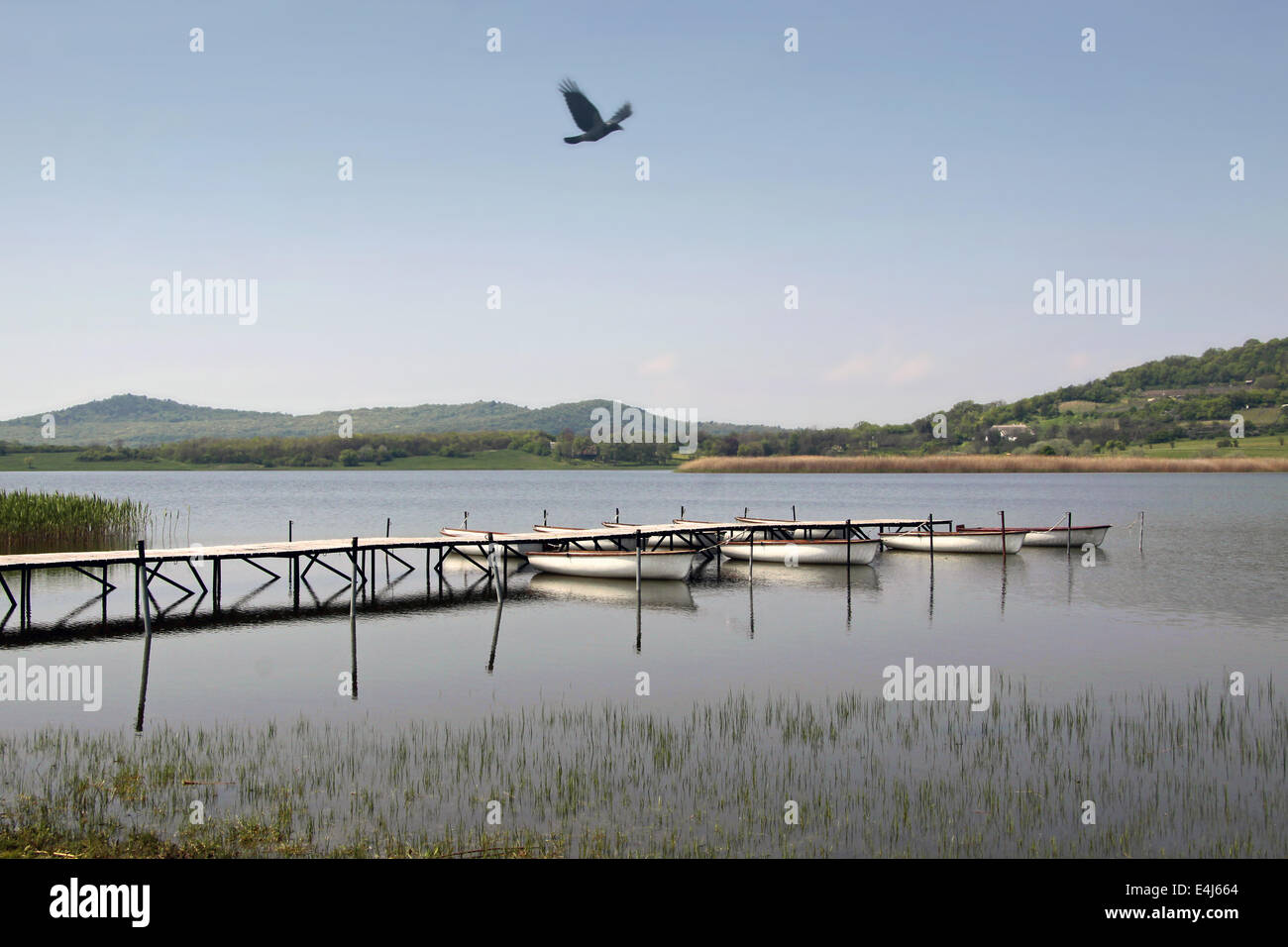 Landscape near Lake Balaton at Tihany, Hungary Stock Photo