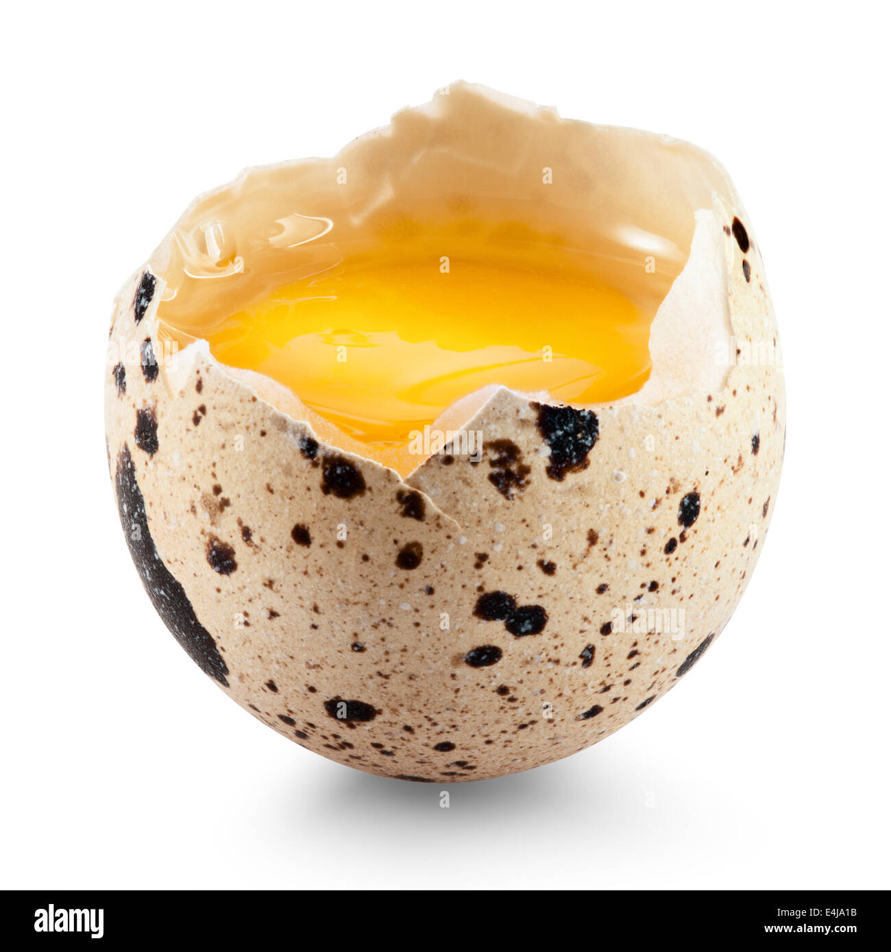 Quail egg isolated on white background cutout. Clipping Path Stock Photo