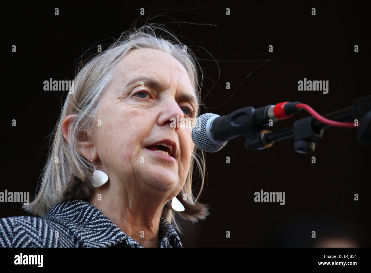 Sydney, NSW, Australia. 13 July 2014. Greens senator Lee Rhiannon ...