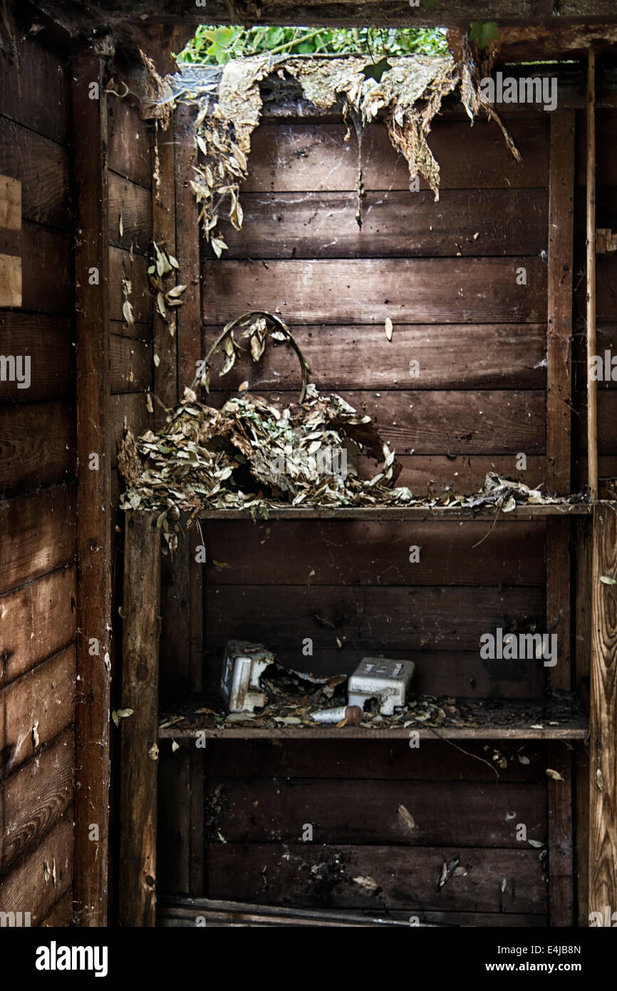 Rotting broken down shed Stock Photo Alamy