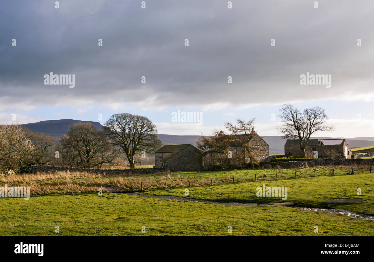 A hill farm in Ribblesdale, North Yorkshire. Pen-y-ghent is the hill in the background. Stock Photo